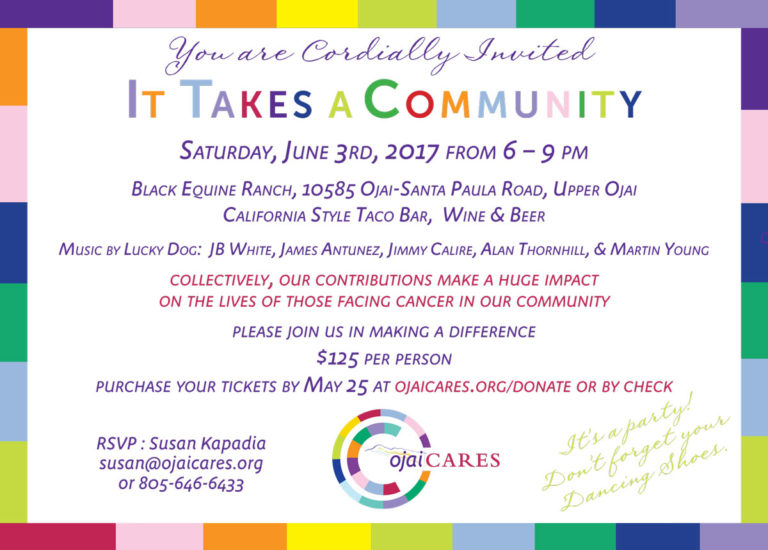It Takes A Community – Fundraiser